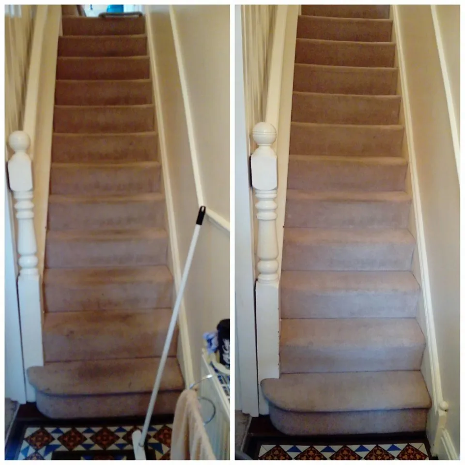 Carpet cleaning before and after